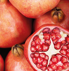 pomegranate-website
